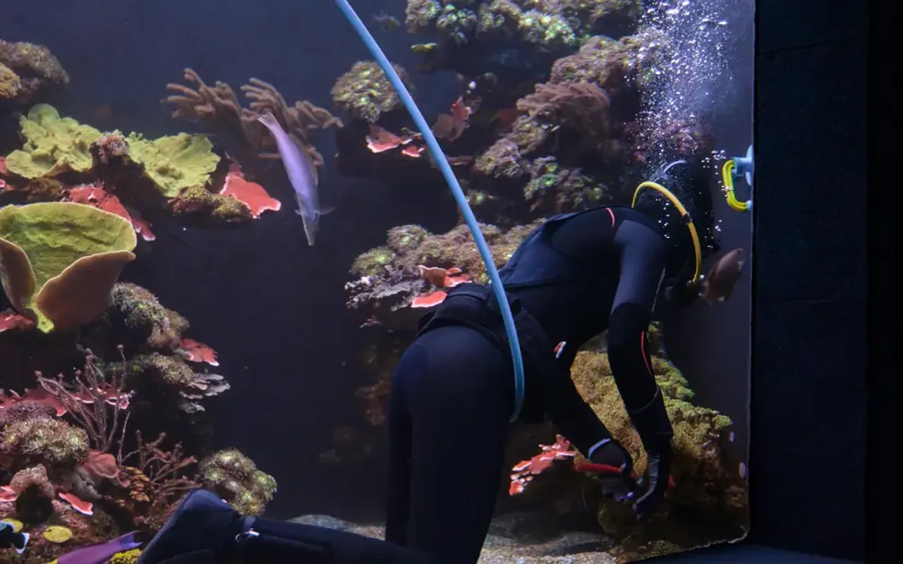 Dubai Aquarium and Underwater Zoo photo 3